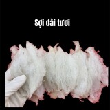 Soi-dai-tuoib3ad6f87406c855e