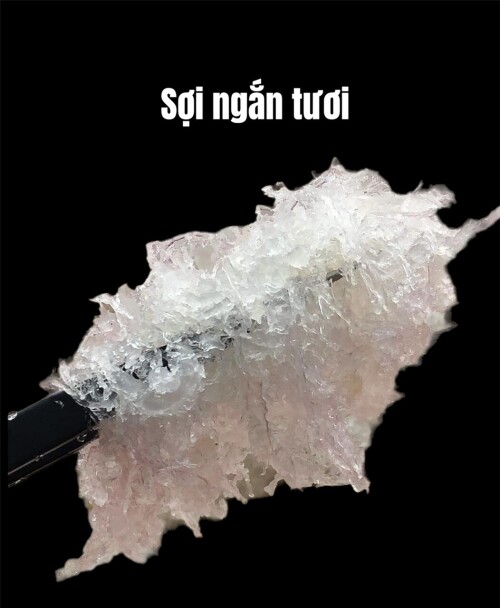 Soi-ngan-tuoi2c931ae911a3790a.jpeg
