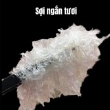 Soi-ngan-tuoi2c931ae911a3790a