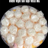 Vien-vun-so-soi-vua-NC7e512320b245f90a