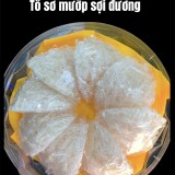 to-so-muop-soi-duong2cd77f41b0b08266