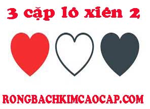 3-cap-lo-xien-2-do-216-2969df9cfd5405d3866.jpeg