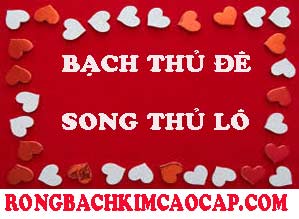 bach-thu-de-trang-219-299400674e36b91a9fe.jpeg