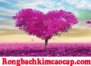 bach-thu-lo-do-218-29841e956802526153c.jpeg