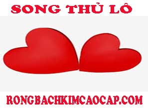 song-thu-lo-do-217-2977404ea9e789ae5b4.jpeg