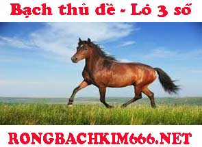 bach-thu-de-lo-3-so-do-215-2955a22e64b34e99cfc.jpeg
