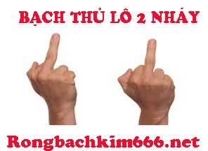bach-thu-lo-2-nhay-do-215-295e195ae4be91644f1.jpeg