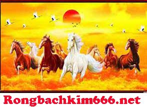 rong-bach-kim-666-net-do-214-294ede076bbe51b7935.jpeg