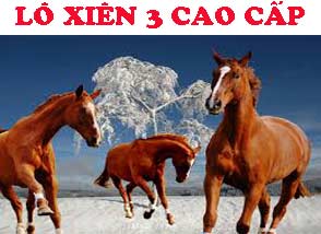 rong-bach-kim-do-214-294165f5475684489e5.jpeg