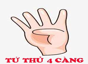 tu-thu-4-cang-do-217-297a4fd5ad03a2f8f61.jpeg