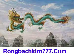 rong-bach-kim-chot-so-do-219-299ef7163afb2c82a87.jpeg
