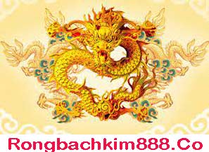 rong-bach-kim-888-do-217-297bb9a337f30b78a05.jpeg