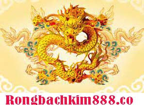 rong-bach-kim-chot-so-do-218-298faaecc38803fb686.jpeg