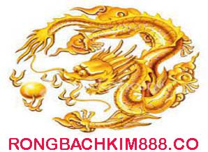soi-cau-rong-bach-kim-888-co-do-218-2985dc3ea2c96d839c3.jpeg
