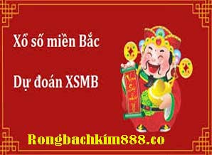 du-doan-xsmb-vang-218-2980207898fe6016091.jpeg