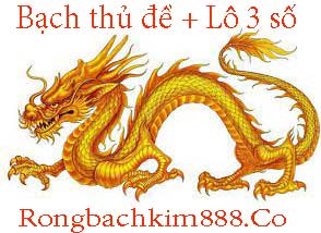 bach-thu-de-lo-3-so-do-214-29475228316c4c5539b.jpeg