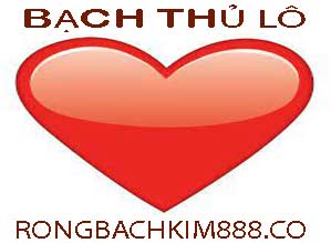 bach-thu-lo-do-219-299e8988b5a280fa41b.jpeg