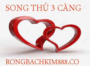 song-thu-3-cang-do-219-299f03f334e8d4fd747.jpeg
