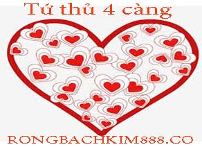 tu-thu-4-cang-do-212-29259e31b6dfd984ff0.jpeg