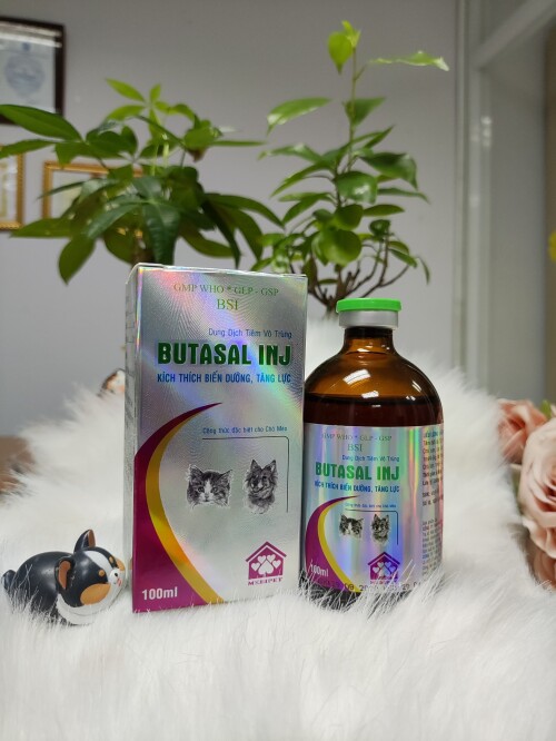 HINH-PET-BUTASAL-INJ-100ML-43b0f10bf9239865a.jpeg