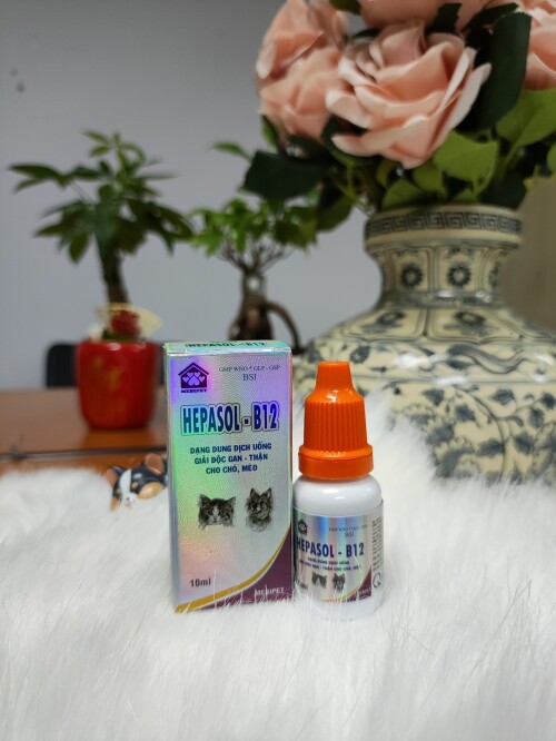 HINH-PET-HEPASOL-B12-10ML-6b46a04e2e688efba.jpeg
