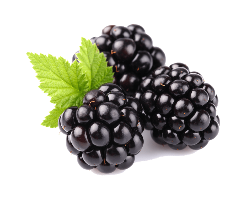 12be73df51b5aecfd3.png