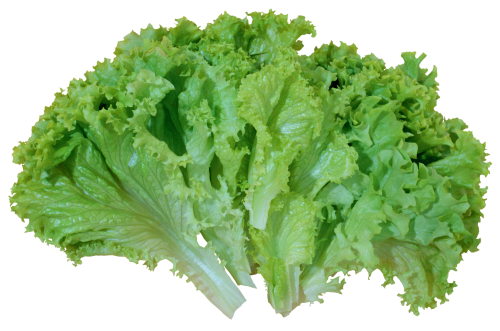 1419b3a3458230d2c6.png