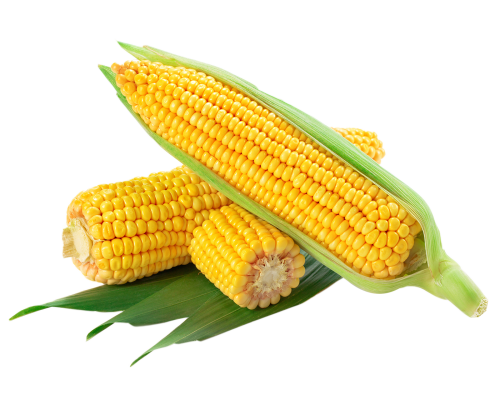 1555882d3e540661c5.png