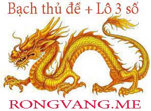 de-lo-3-so-do-198-2986d22660289c16cd3.jpeg