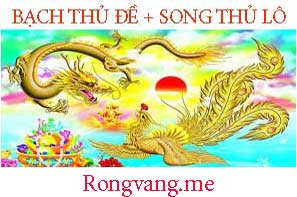 rong-vang-me-do-217-2973f16ced23f7346e1.jpeg
