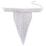 2-Fashion-Large-Collar-Crystal-Rhinestone-Tassel-Long-Necklace-Women-Indian-Statement-Wedding-Necklace-Jewelry20043d643b080205