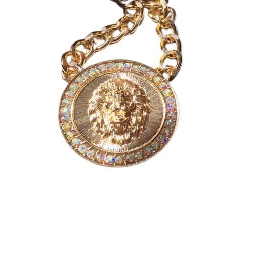 1-Punk-Vintage-Mens-Fashion-Gold-Plated-Rhinestones-Lion-Head-Animal-Pendant-Necklace-for-Women-Fashion-Metal-Chain-Jewelry64e99944d706d348.jpeg