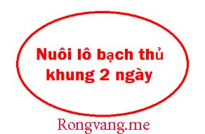 bach-thu-lo-khung-2-ngay-do-192-292f0ea48ac62c4e9d6.jpeg