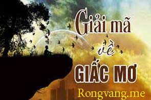 giai-ma-giac-mo-lo-de-vang-195-2951bc3b63a1df45e36.jpeg