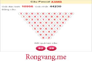 soi-cau-do-199-29939e8b15482a1b2a8.jpeg