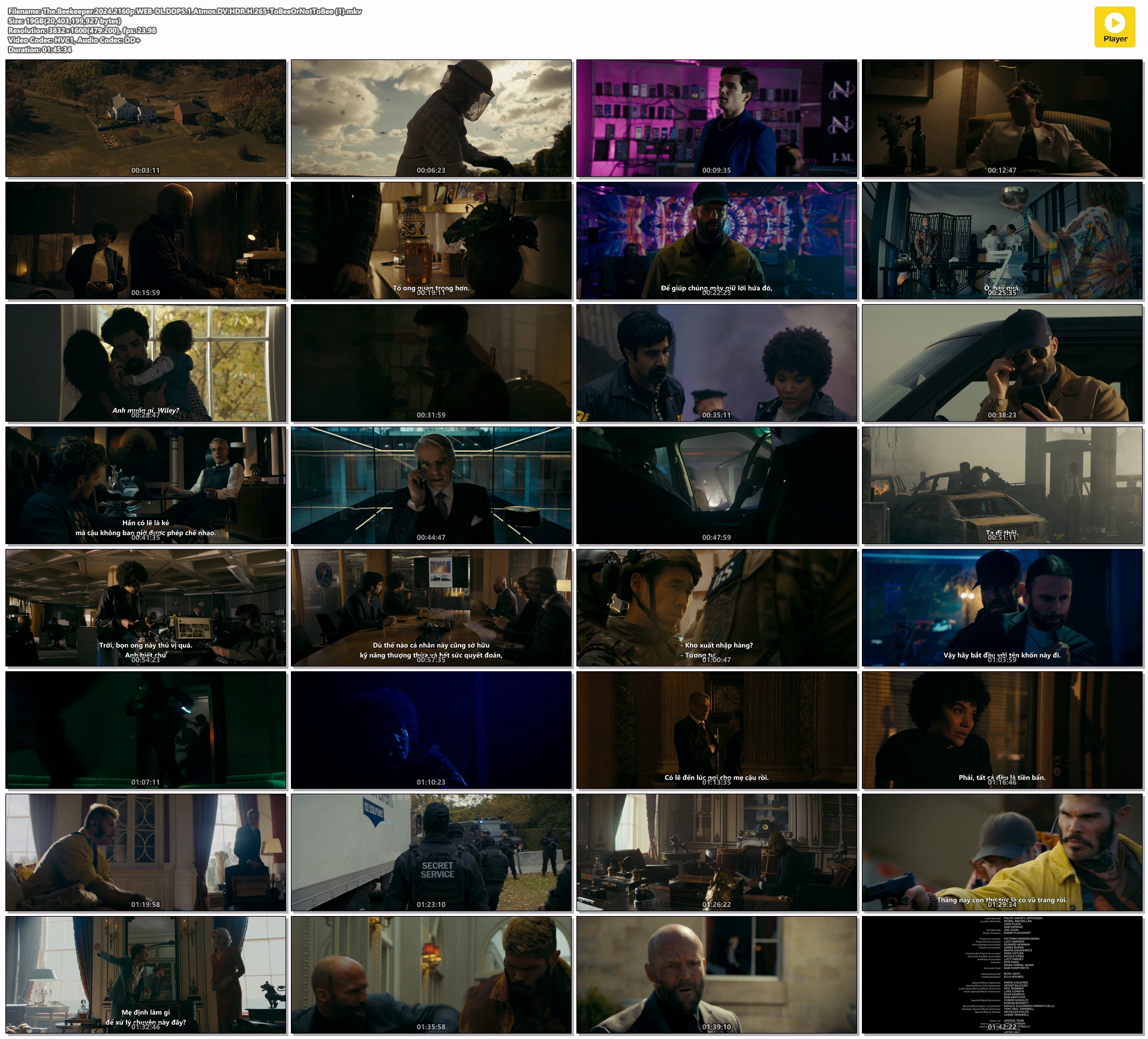 The.Beekeeper.2024.2160p.WEB-DL.DDP5.1.Atmos.DV.HDR.H.265-ToBeeOrNotToBee-1.mkvcbc96803c57b52d0.jpeg