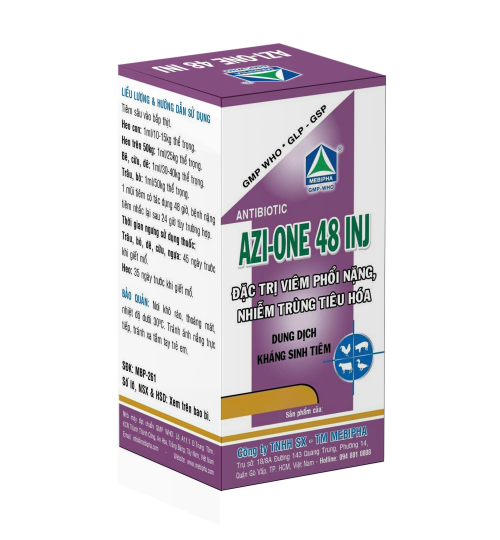 AZI---ONE-48-INJJ646c7144655b5a4a.png