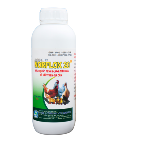NORFLOX-20-2-510x51050e9c1a2e4c05be3.png