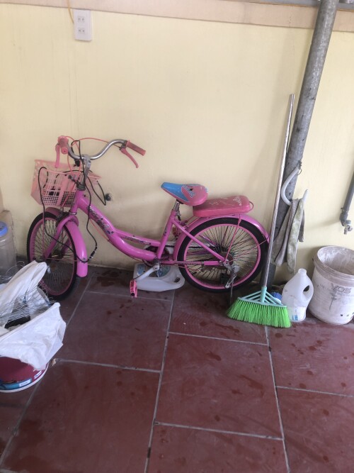 IMG_456338f9c42fcea59b02.jpeg